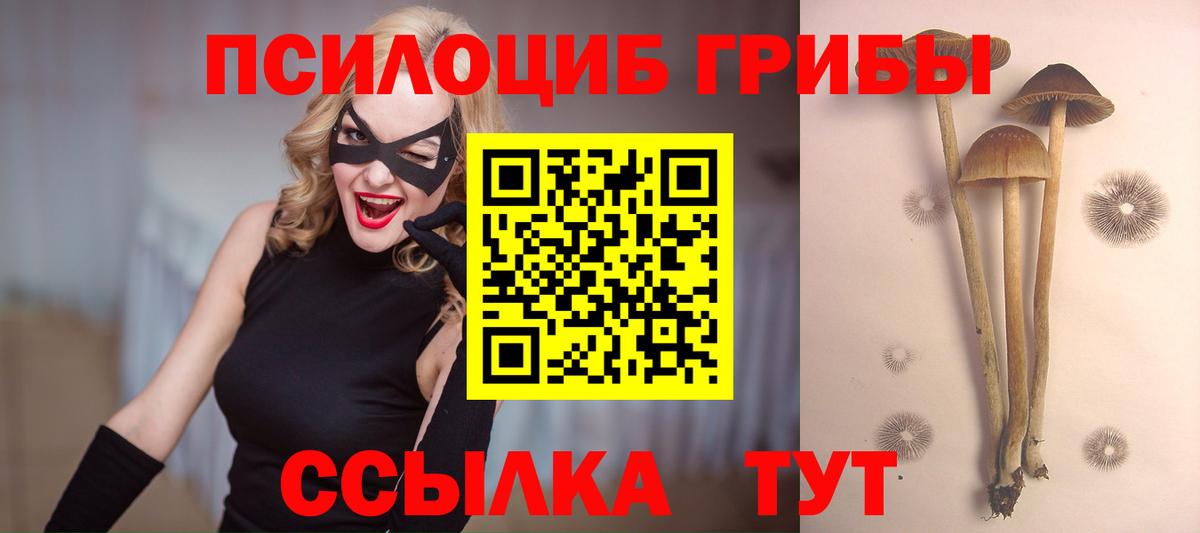 Псилоцибиновые грибы Psilocybe  Галлюциногенные грибы прущие грибы  Вход с VPN  Бугуруслан 